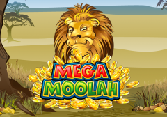 Джекпот на игровом автомате Mega Moolah достиг рекордного значения